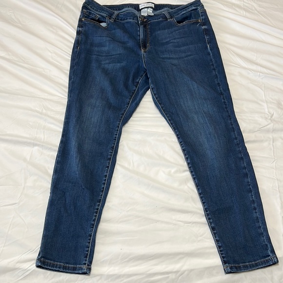 Lane Bryant Denim - Lane Bryant mid-rise skinny jeans.